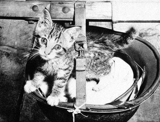 WWII Mascots